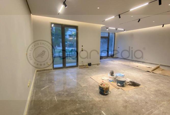 53977767 - Property Image 3