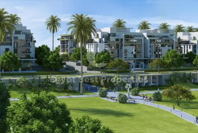 113826894 - Property Image 3