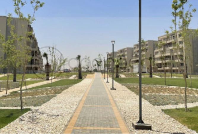 53981324 - صورة العقار 2