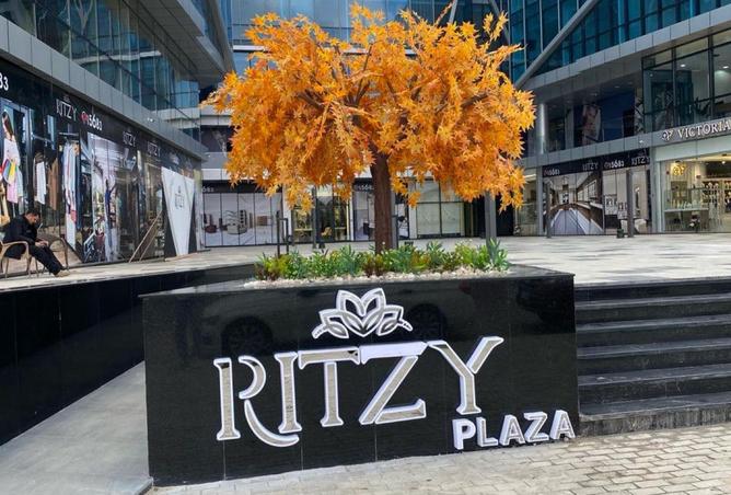 62887006 - صورة العقار 2