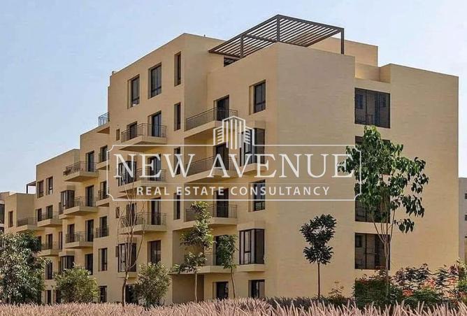 63142070 - Property Image 3