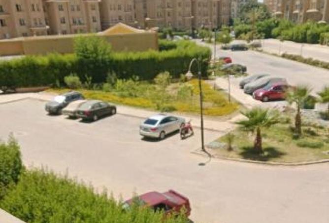 8552722 - Property Image 3