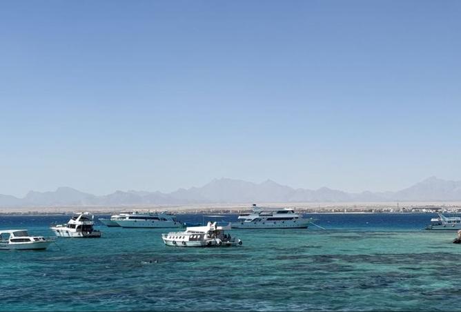 8449410 - صورة العقار 3