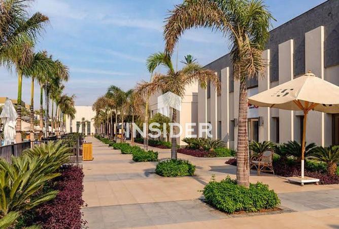 64908421 - صورة العقار 3