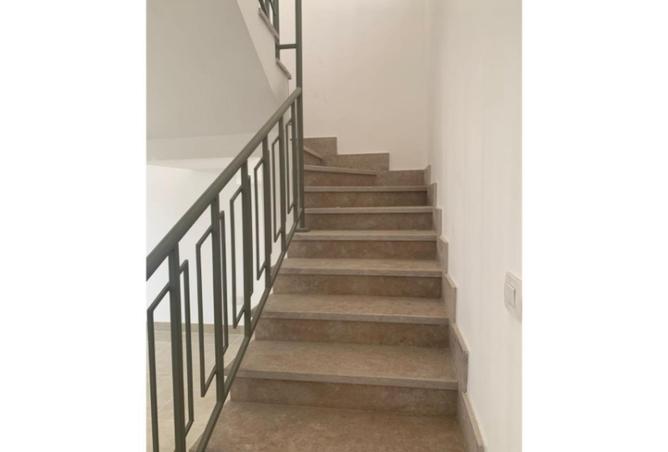 8641893 - Property Image 3