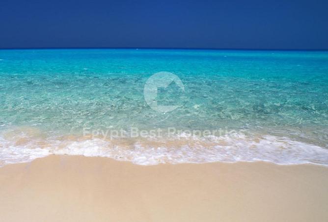 71653824 - الصورة الرئيسية للعقار