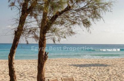 Chalet - 3 Bedrooms - 3 Bathrooms for sale in Marsa Baghush - Qesm Marsa Matrouh - North Coast
