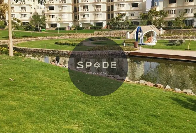 116758477 - Property Image 3