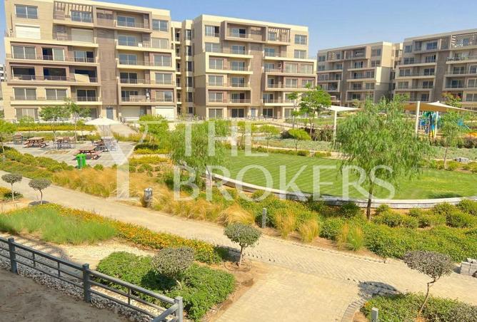 56991628 - Property Image 2