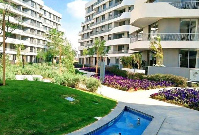 55503992 - صورة العقار 3