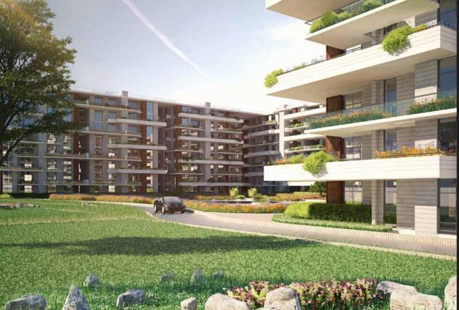 55503992 - صورة العقار 2