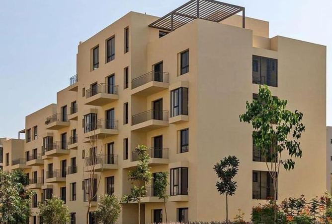 57998954 - صورة العقار 3