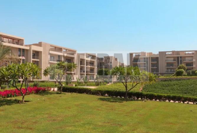 104039165 - Property Image 3