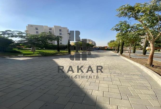 54241195 - Property Main Image