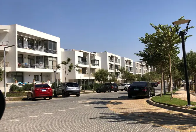 98824049 - Property Image 2
