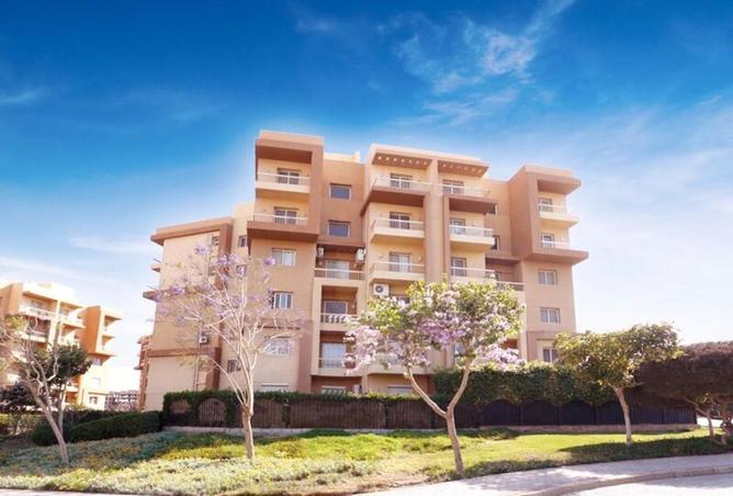 66174413 - Property Image 3