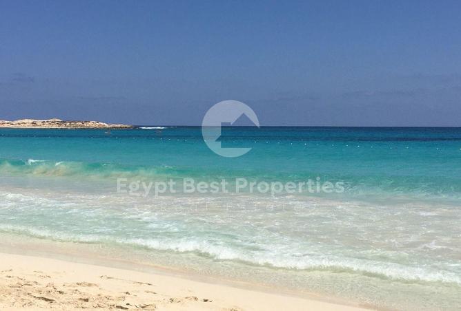 89888697 - صورة العقار 3