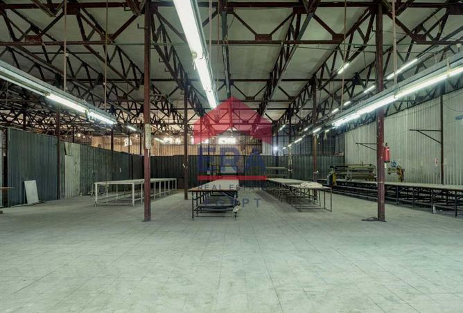 55995701 - صورة العقار 3