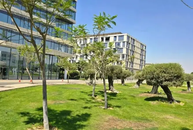 113262249 - Property Image 2