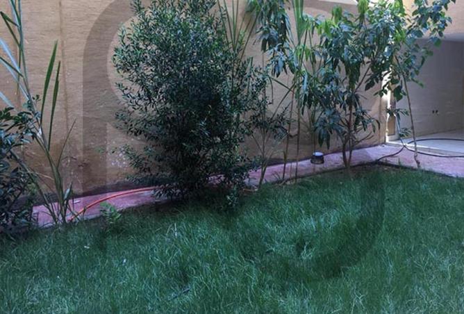 79721013 - صورة العقار 2