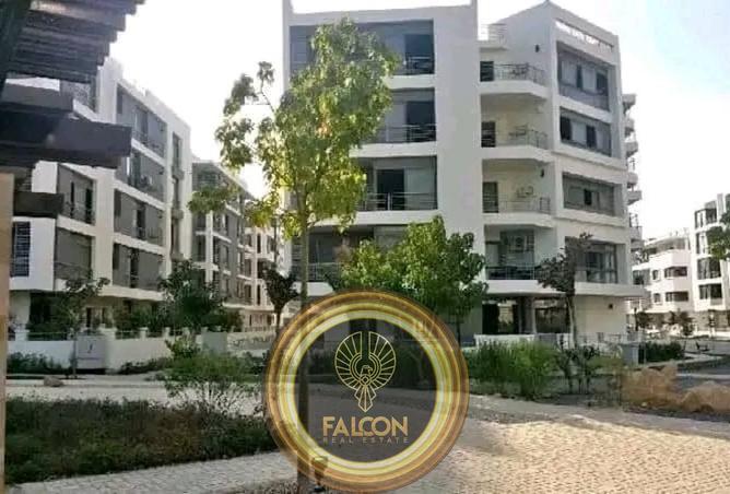 8411610 - Property Image 3