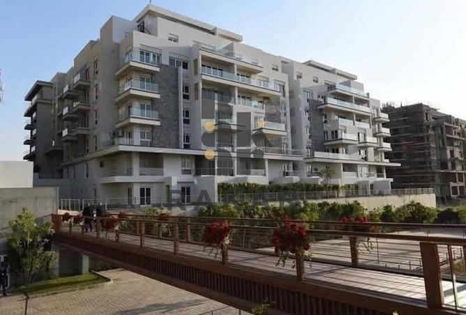 63145004 - Property Image 3