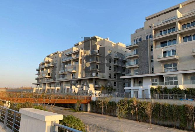 63145004 - Property Image 2