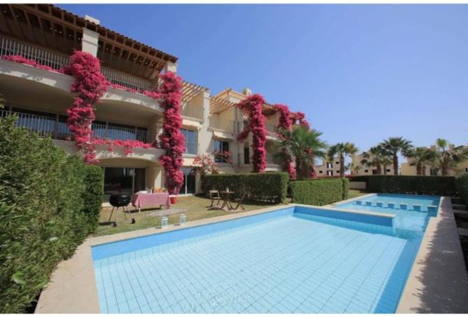 56004212 - Property Image 2