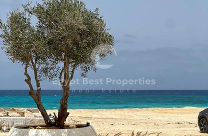Chalet - 3 Bedrooms - 3 Bathrooms for sale in The Med - Ras Al Hekma - North Coast