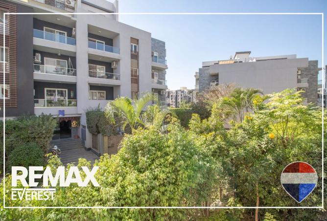 101779009 - Property Image 3