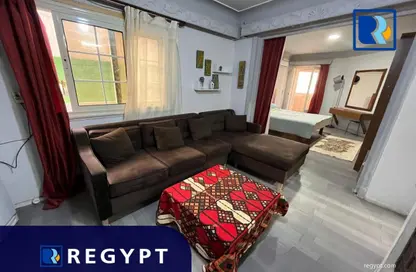 Apartment - 1 Bedroom - 1 Bathroom for rent in Aziz Abaza St. - Zamalek - Cairo Apartment - 1 Bedroom - 1 Bathroom for rent in Aziz Abaza St. - Zamalek - Cairo