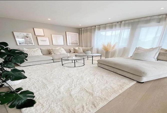 52706929 - الصورة الرئيسية للعقار