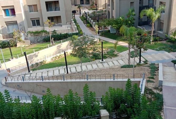 70362566 - Property Image 3