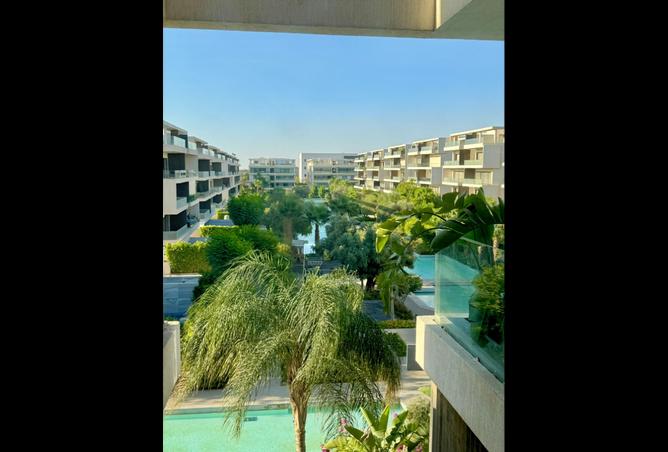 100637235 - Property Image 3
