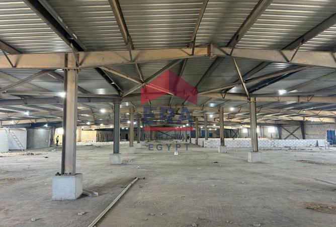 55750213 - صورة العقار 2