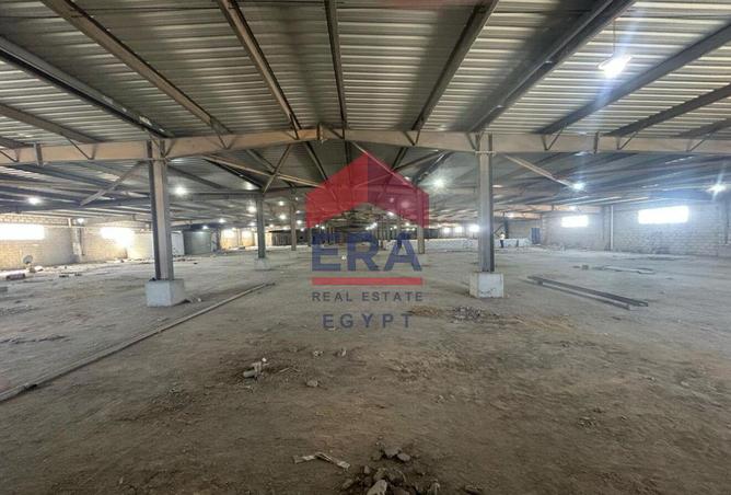 55750213 - صورة العقار 3