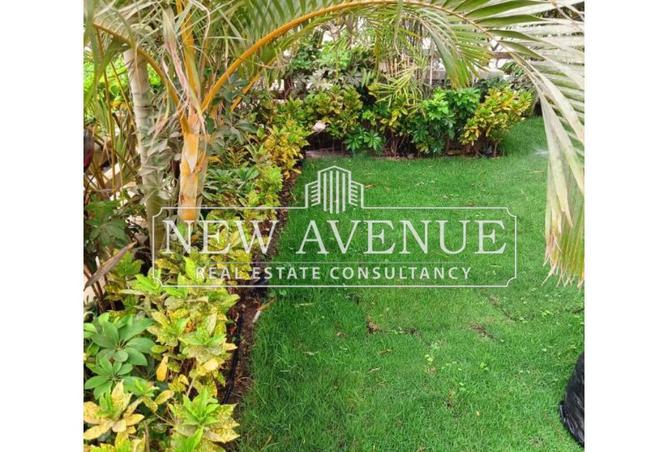 66689885 - صورة العقار 2