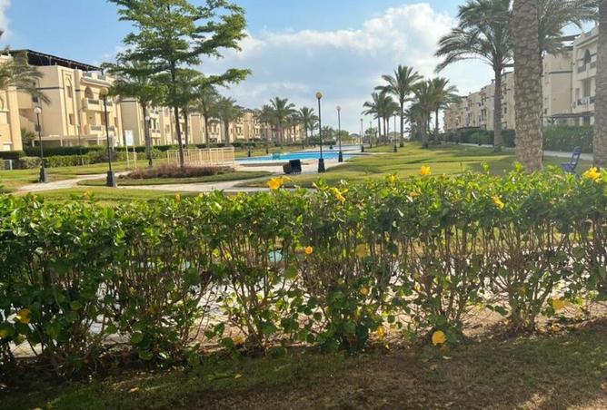 71655476 - صورة العقار 2