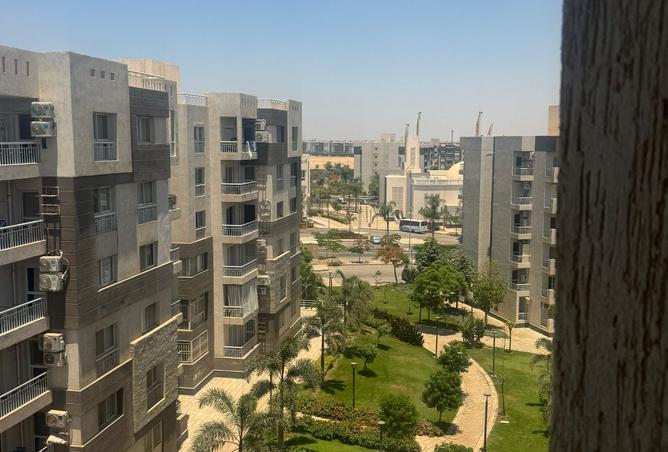 105172037 - صورة العقار 3