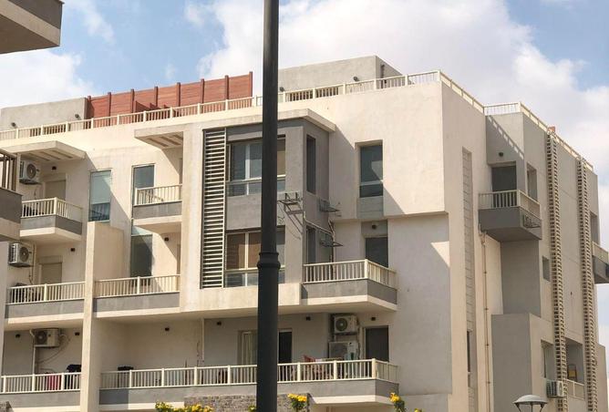 54762465 - صورة العقار 3