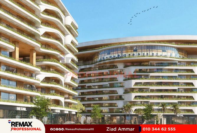 8489867 - Property Image 3