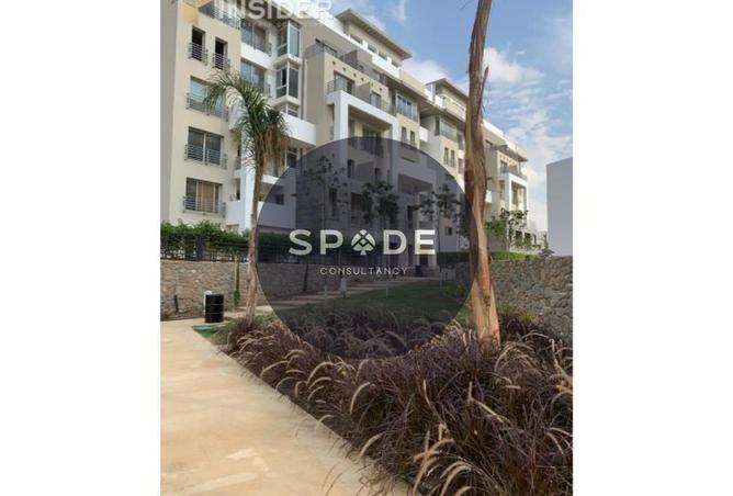 8689796 - Property Image 3