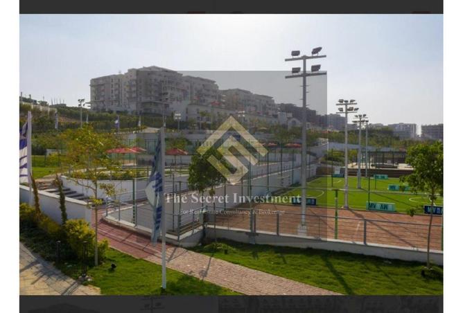 56493203 - Property Main Image