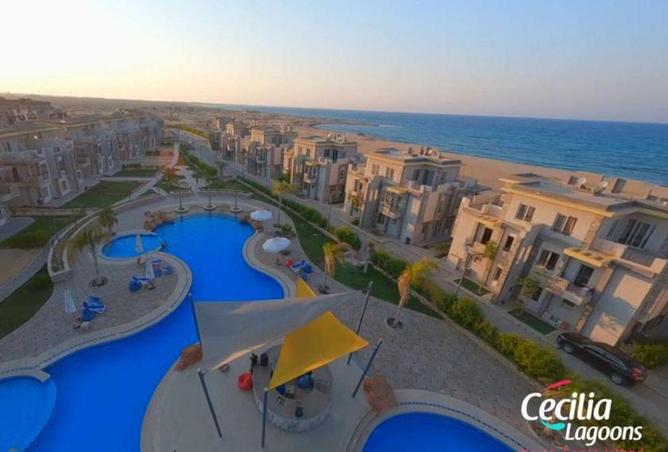 56263807 - صورة العقار 2