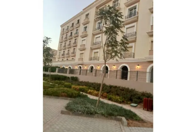 115173965 - Property Image 3