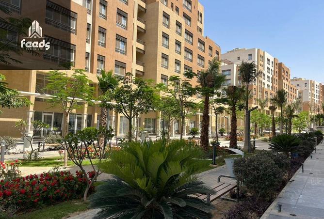 63889068 - صورة العقار 3