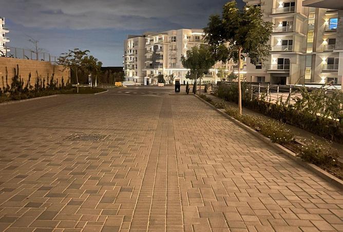 62644134 - Property Image 3