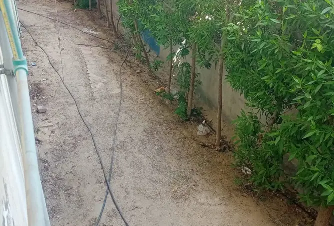 117265041 - صورة العقار 3