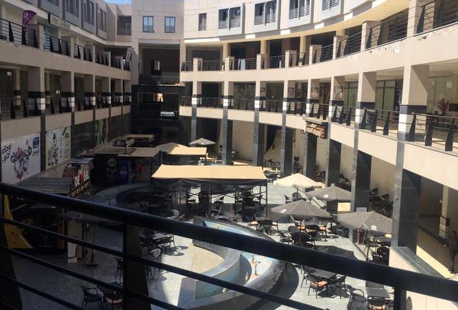 8668597 - Property Image 3