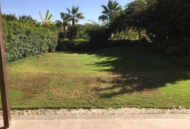 76517984 - صورة العقار 3